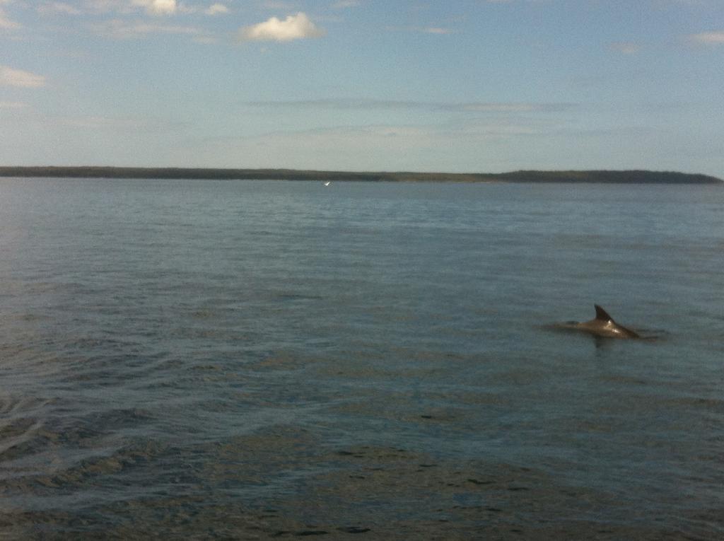 במוטל הוסקיסון Jervis Bay Mariners מראה חיצוני תמונה